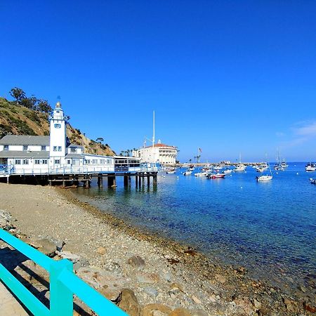 Lux Oceanfront Villa With Breathtaking Views Avalon Eksteriør billede