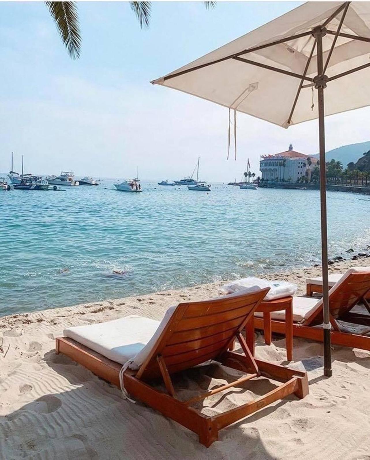 Lux Oceanfront Villa With Breathtaking Views Avalon Eksteriør billede