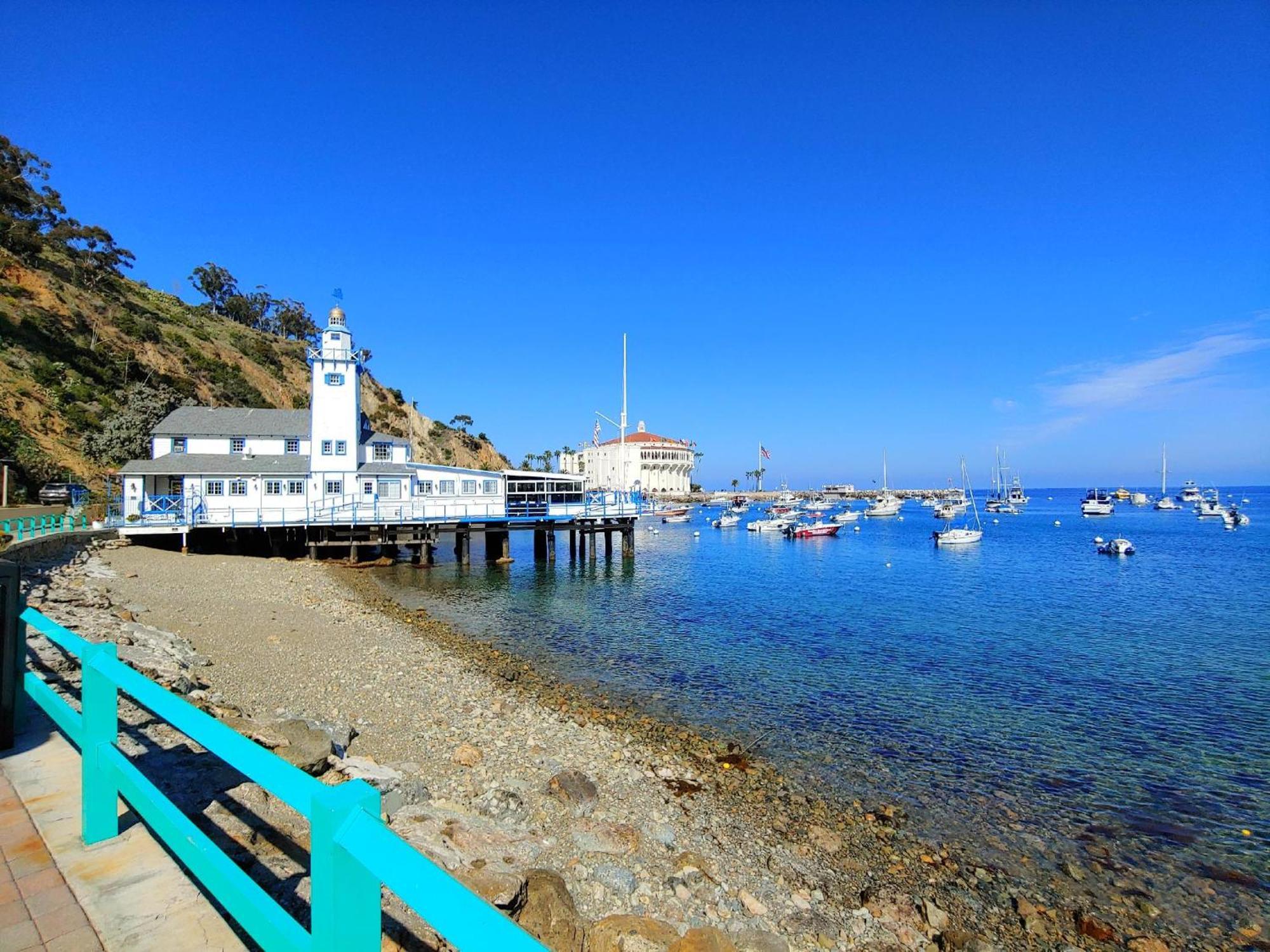 Lux Oceanfront Villa With Breathtaking Views Avalon Eksteriør billede